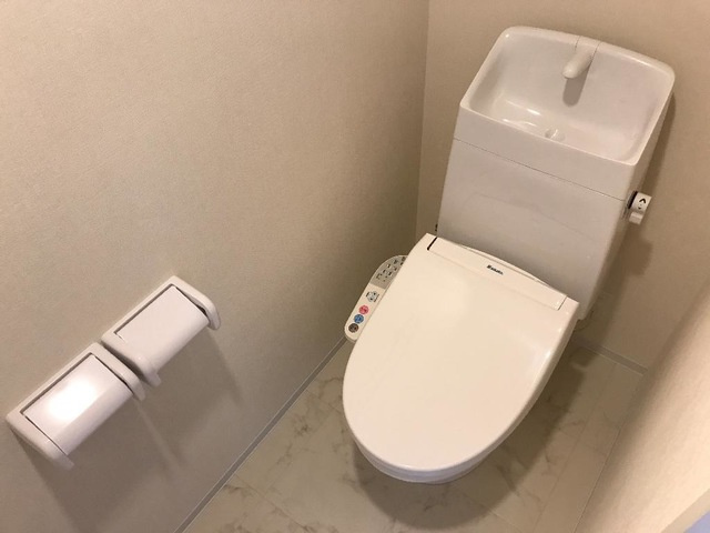 サラス　オーロのトイレ