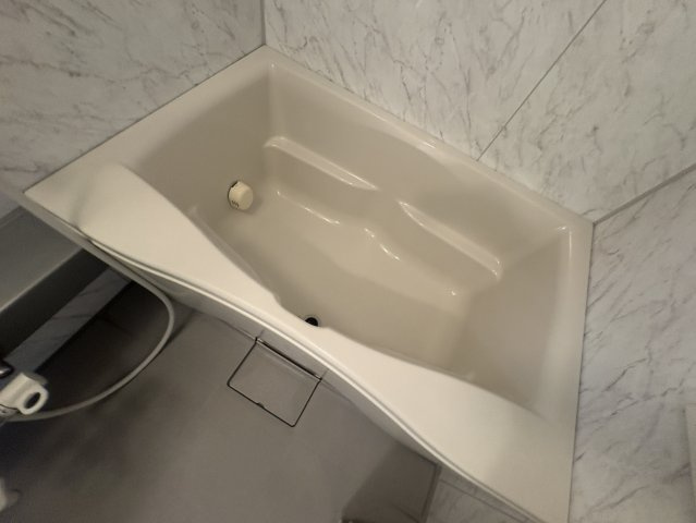サイドヒルⅡの浴室