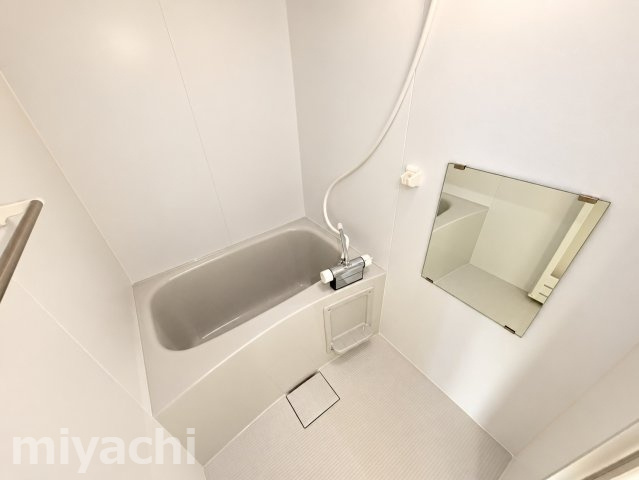 徳島市南島田町２丁目の賃貸マンションの浴室