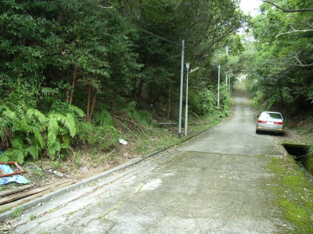 下田市　吉野苑の周辺