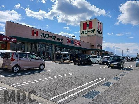 向日葵　Ⅱのその他