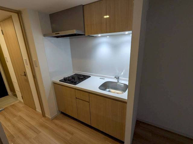 Ｓ－ＲＥＳＩＤＥＮＣＥ観音公園ａｌｏｒｉａのキッチン
