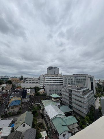 白山グリーンハイツの展望