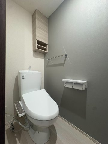 D-ROOM 分梅のトイレ