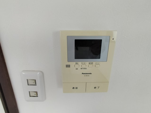 メゾニティクイーン