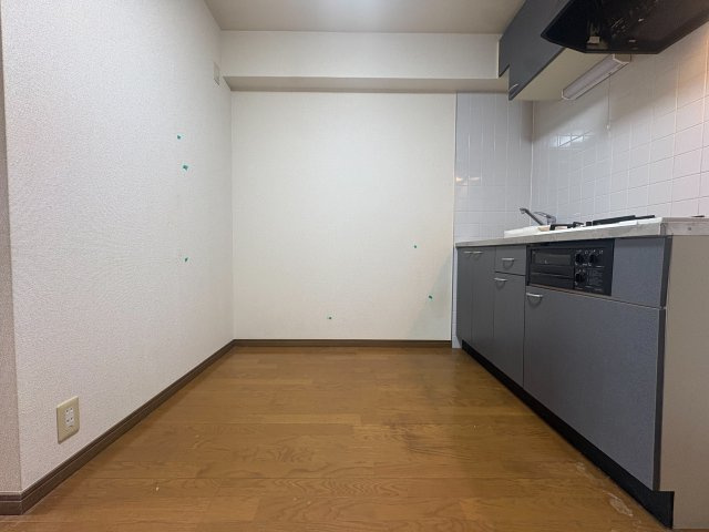 狛江市中和泉５丁目の賃貸マンションの内装|洋室収納