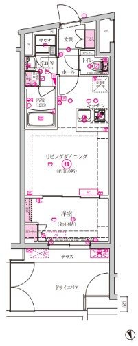 ベルシードステアー西早稲田 の間取り
