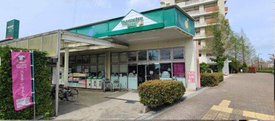 【周辺】 | ピオーネ新小岩 | マルエツ プチ 新小岩店まで954m