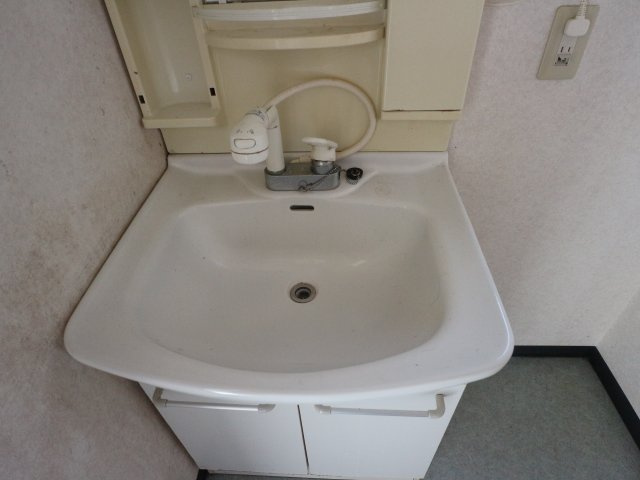田代貸家(2階建て)の洗面所