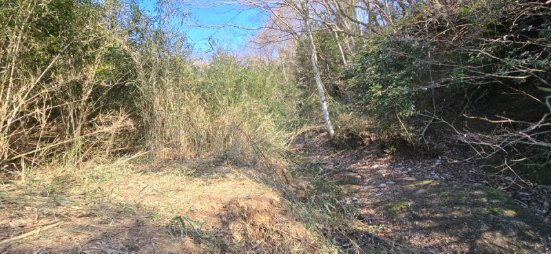 富津市不入斗　売地の外観|■現地写真