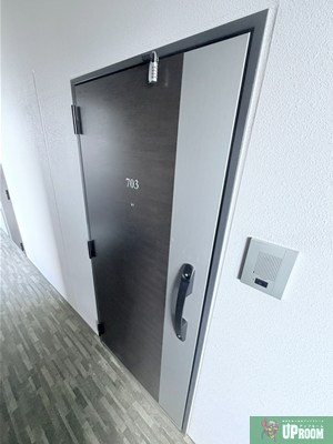 S-RESIDENCE上飯田駅前の玄関