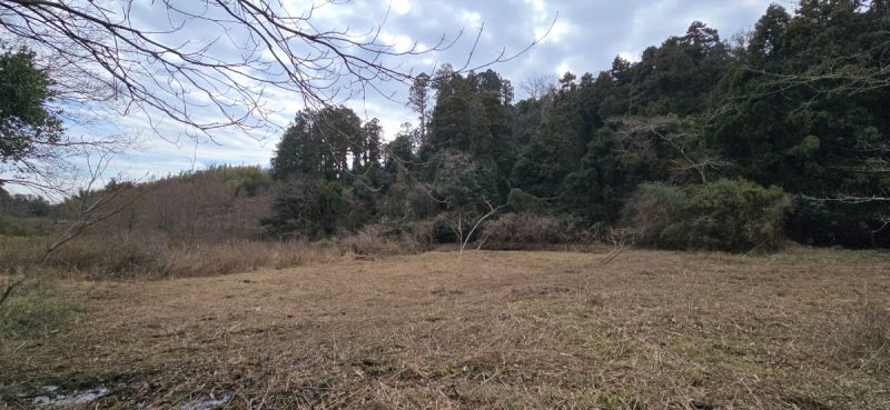 富津市数馬　売地の外観|■広大な平坦地
