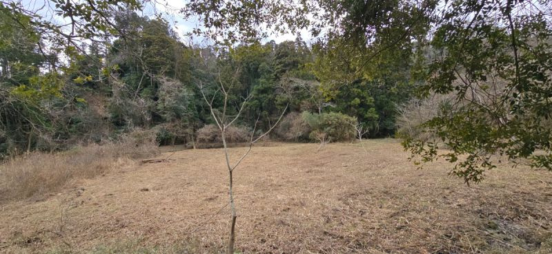 富津市数馬　売地の外観|■大型犬も目いっぱい走りまわれちゃいます♪