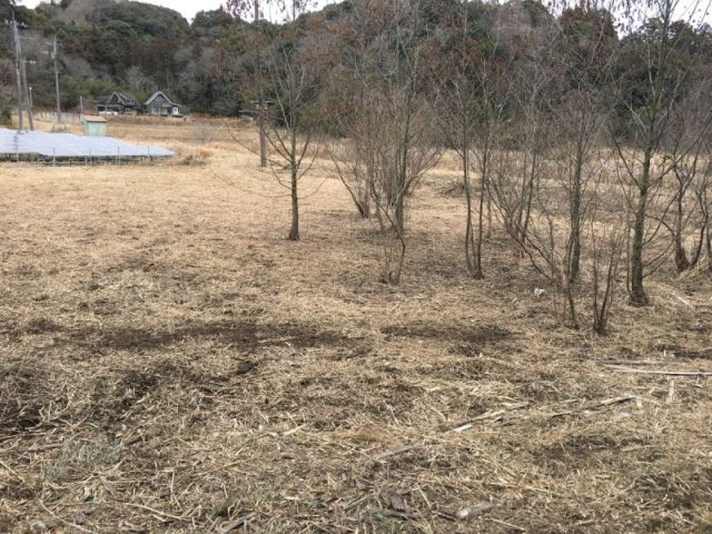 富津市数馬　売地の外観|■広い平坦地でキャンプや別荘、倉庫など使い方色々