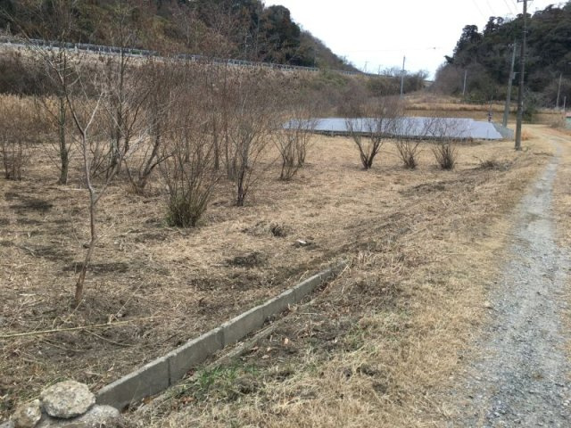富津市数馬　売地の外観|■菜園や果樹スペースも作れます