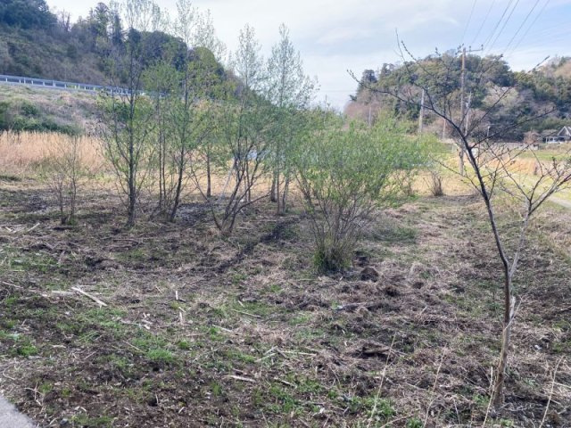 富津市数馬　売地の外観|■木々に囲まれた静かな場所