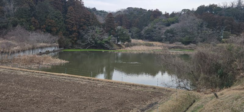 富津市数馬　売地の周辺|■物件近くにある池