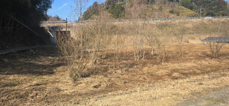 富津市数馬　売地の外観|■現地