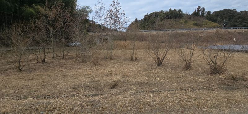 富津市数馬　売地の外観|■現地
