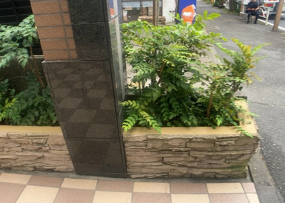 【中庭】 | ダイアパレス八王子アヴァンティ | 中庭（パティオ）とは、一つの建築物の内部に設けられた、壁などで囲われている庭のことを指します。コの字型、ロの字型が主流ですが、L字型の中庭もあります。最近では、インテリア性の高さからも人気があります。