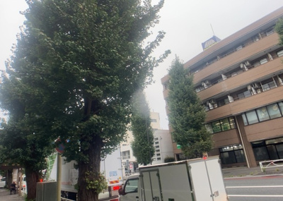 【展望】 | ダイアパレス八王子アヴァンティ | 眺望を気にして物件を探す場合、前面に建物が建っていないか現地で確認しましょう！前面に建物があると景色はもちろん、日当たりや風通しにも影響が出てきます。住んだ時のことを想像しながら現地見学をしましょう。