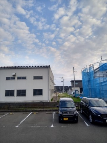 レオネクストファルコーネのその他