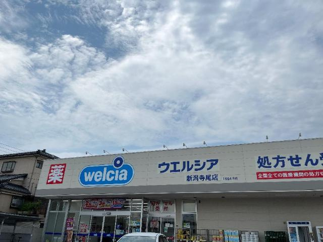 エルヴェの周辺|ウエルシア　寺尾店まで350ｍ