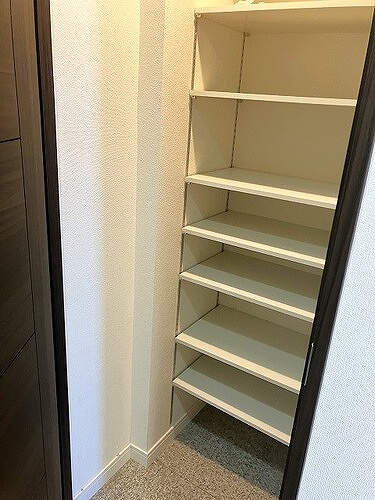 シティタワーズ円山ＳＩＤＥ　Ｂの玄関|シューズクローク