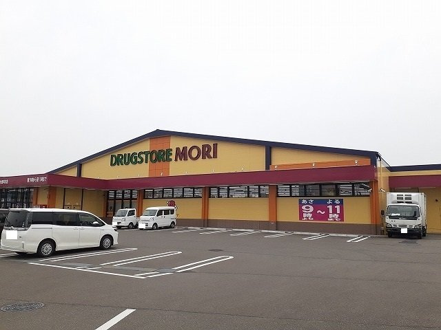ハイツリー　Ⅱの周辺|ドラッグストアモリ都城太郎坊店まで1700m