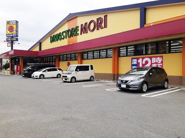【周辺】 | ラ・ビスタ城南Ｂ | ドラッグストアモリ堤店まで350m