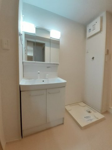 プラム　アライブの洗面所