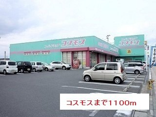 サニーヒルズⅤの周辺|コスモスまで1100m
