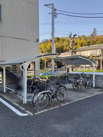カドリフォリエのその他