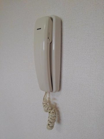 ゴールドディアイブのその他