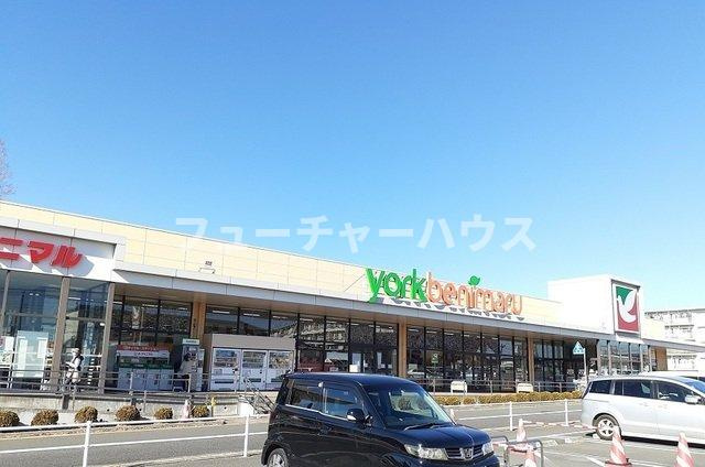 イーストウィン水野Ｂの周辺|ヨークベニマル東大島店まで610m
