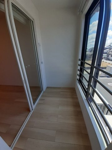ピアマローネのその他