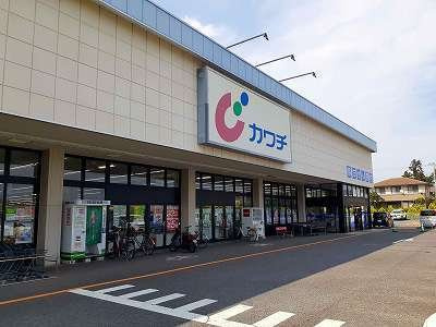 パーク　アヴェニューの周辺|カワチ薬品まで1000m