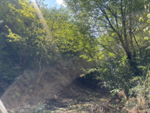 丹波篠山市今田町今田　山林の画像