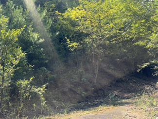 【外観】 | 丹波篠山市今田町今田　山林