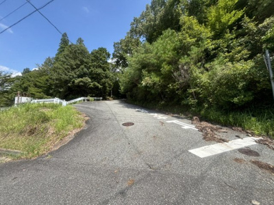 【その他】 | 丹波篠山市今田町今田　山林