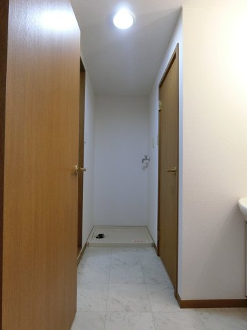 プラティーヌＫの洗面所|イメージ101号室の写真