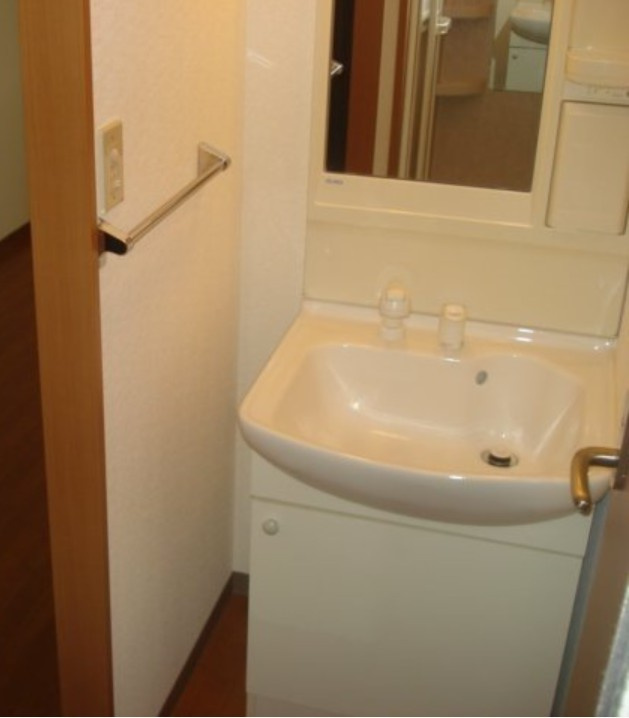 川崎市多摩区宿河原２丁目の賃貸マンションの洗面所