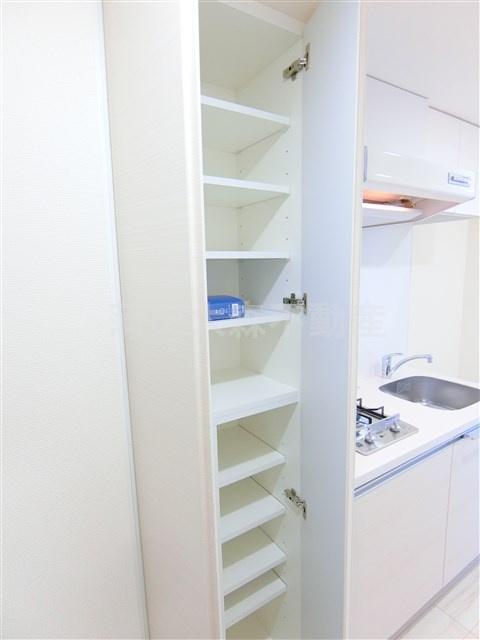 ブライズ多摩川の収納|玄関収納