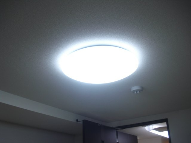 リブベースのその他|照明