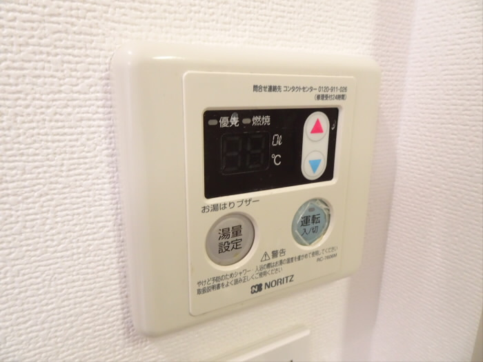 シャンゼリゼのその他