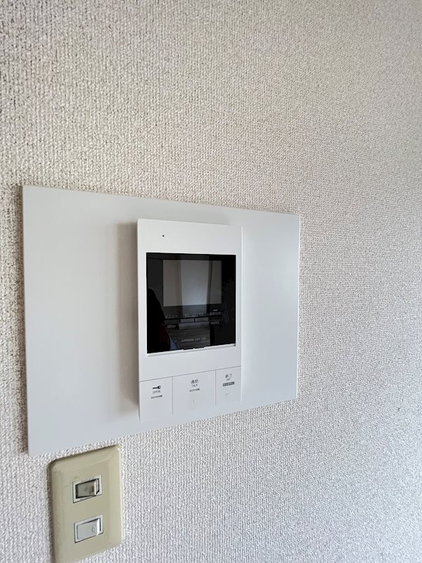 サウスフレアのセキュリティ