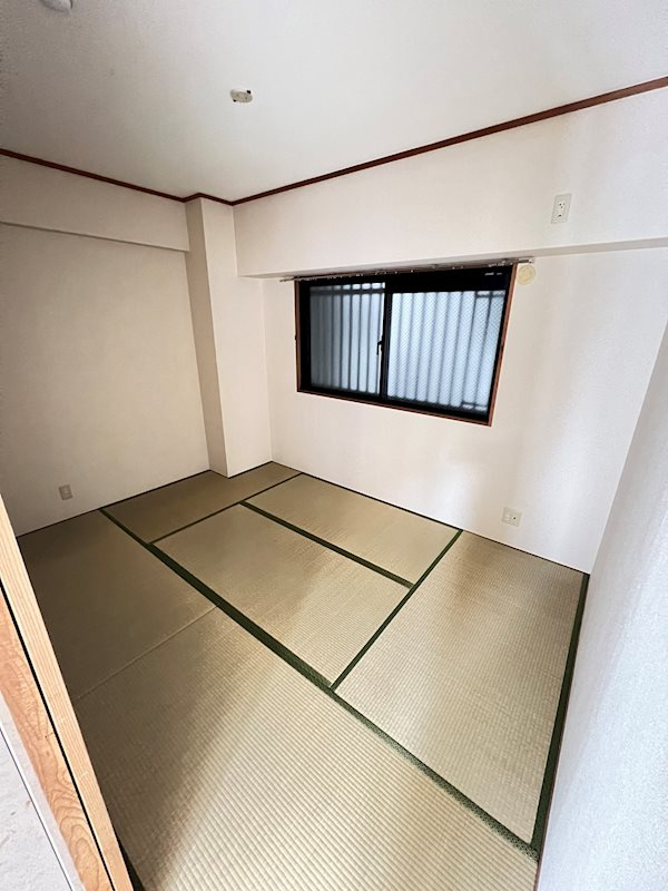 サウスフレアのその他