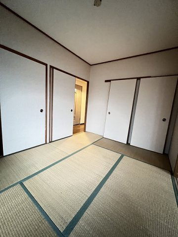 サウスフレアのその他