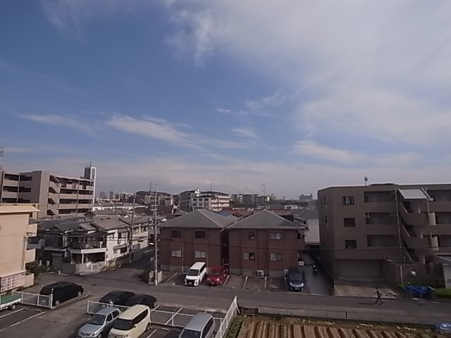 アクティモリノブの展望