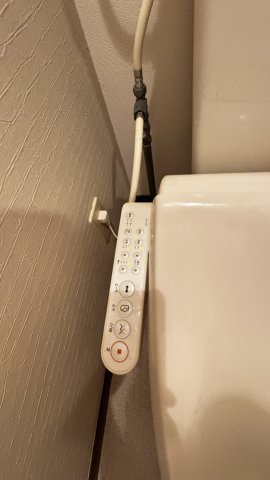 プラムハウス のトイレ